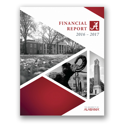 Financial Report 2016-2017