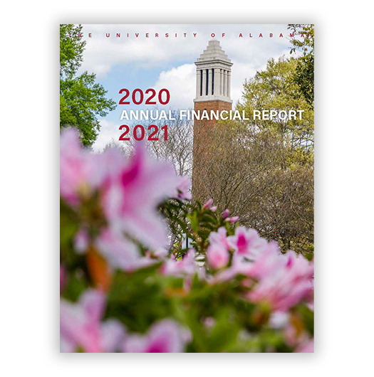 Fisal Year 2021 Financial Statement Cover. Denny Chimes and Azaleas.