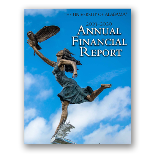 Annual Financial Report 2020